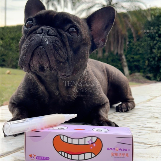 Cepillo dental para mascotas