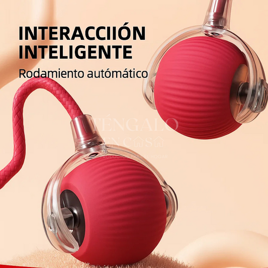 Pelota Inteligente para Mascotas