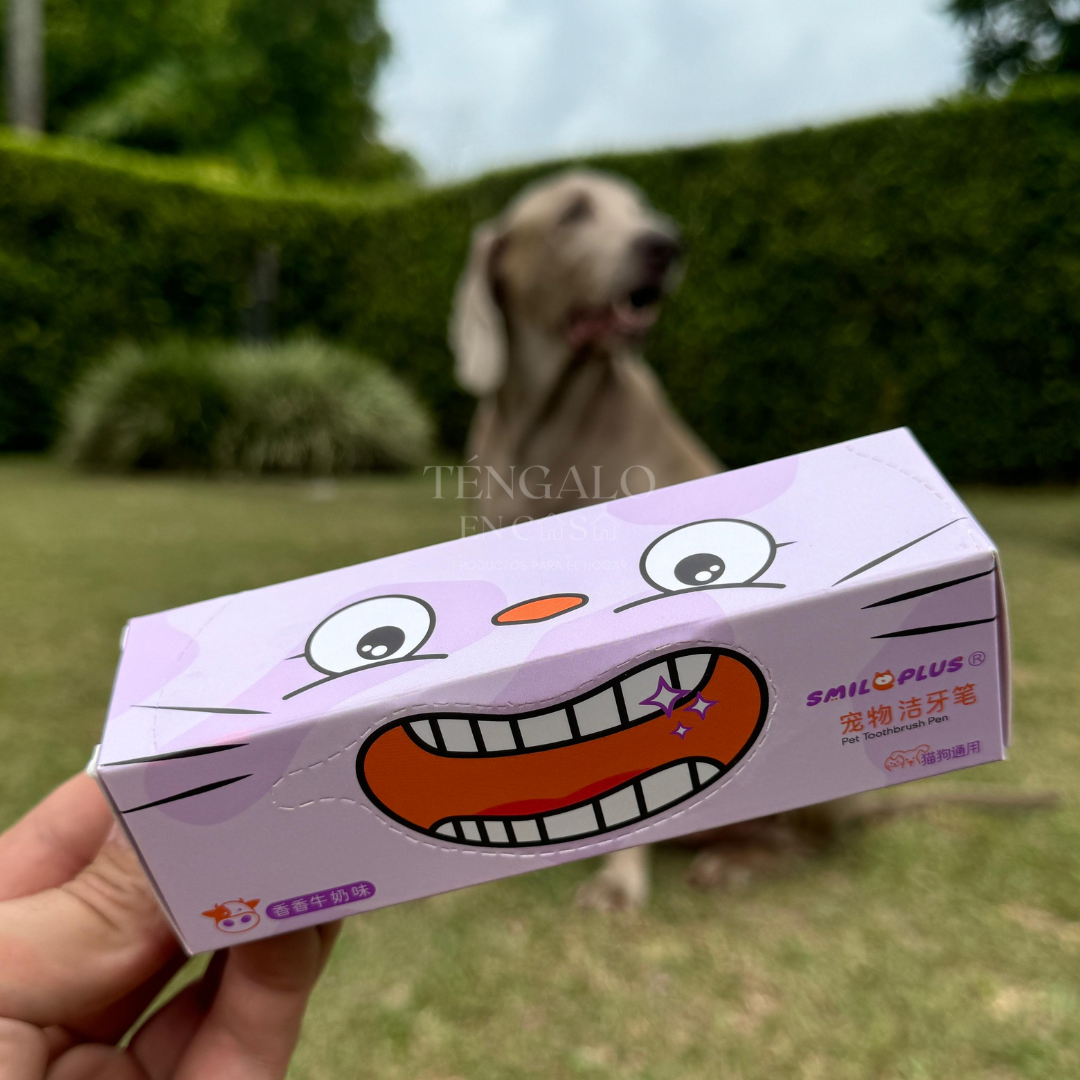 Cepillo dental para mascotas