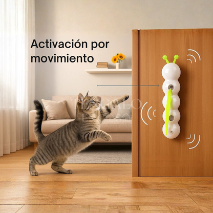 Oruga Interactiva para Gatos