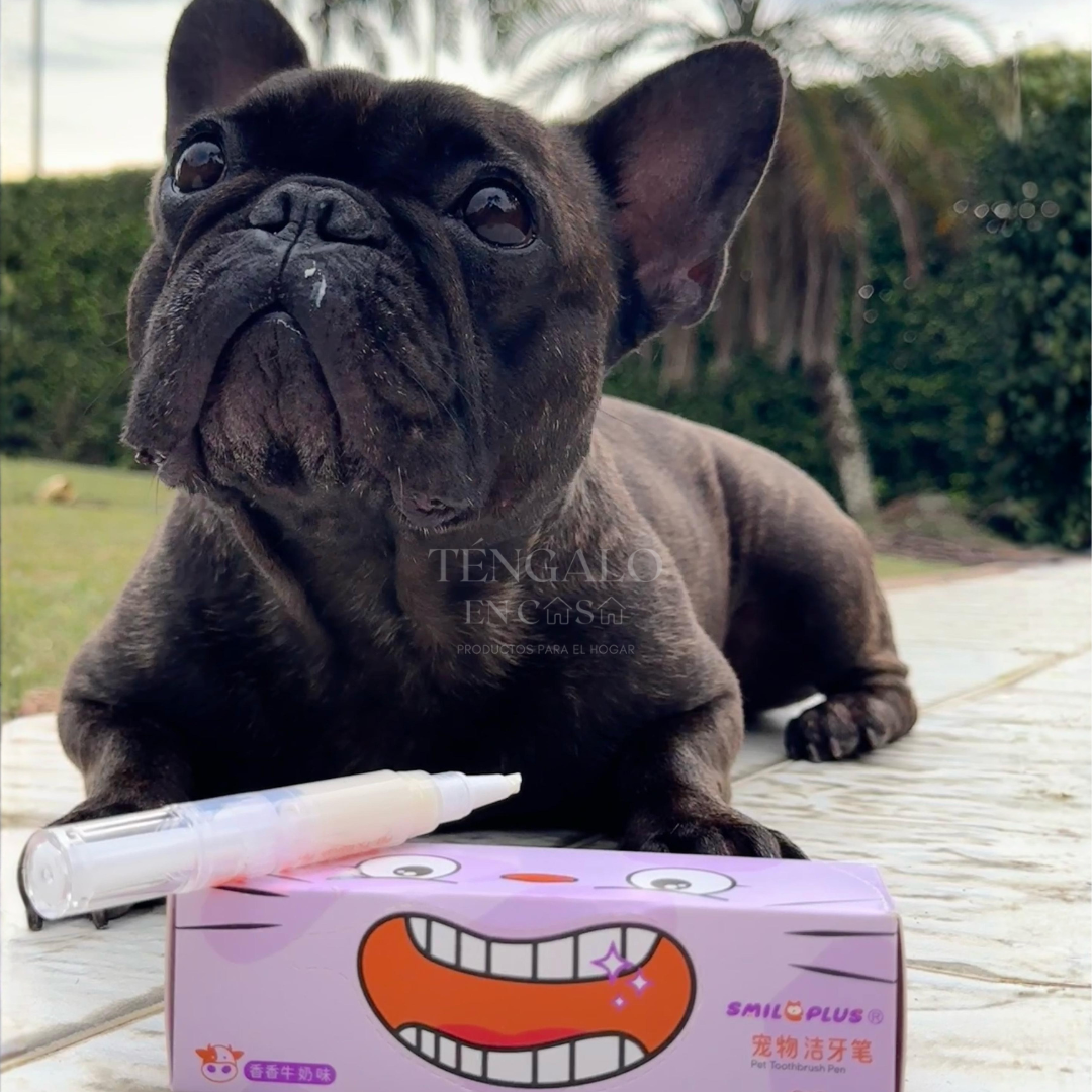 Cepillo dental para mascotas