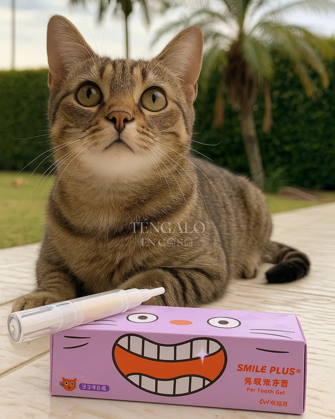 Cepillo dental para mascotas